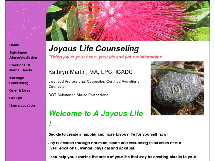 www.joyouslifecounseling.com