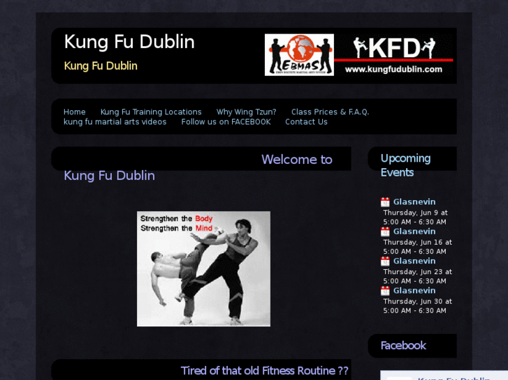 www.kungfudublin.com