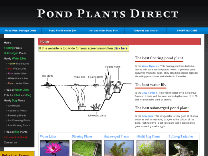 www.pondplantsdirect.com