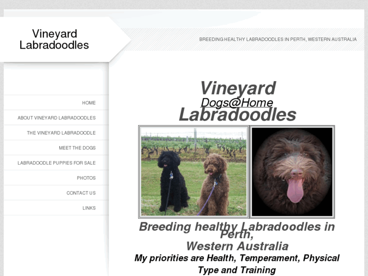 www.vineyardlabradoodles.com