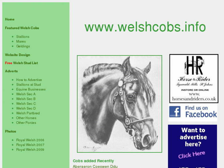 www.welshcobs.info