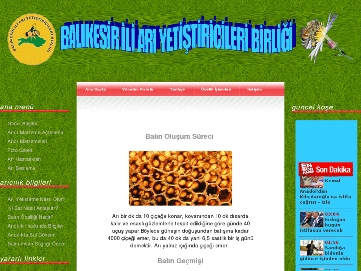 www.balikesiraribirligi.com