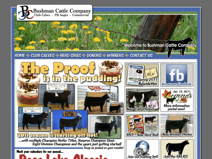 www.bushmancattle.com