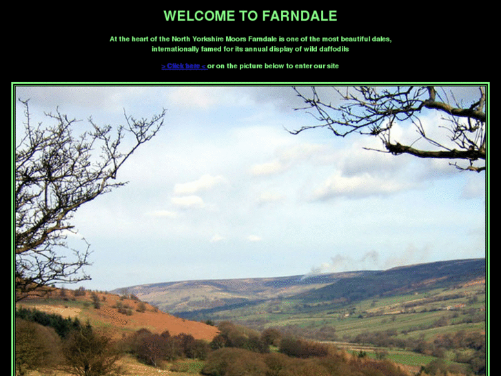 www.farndale.org