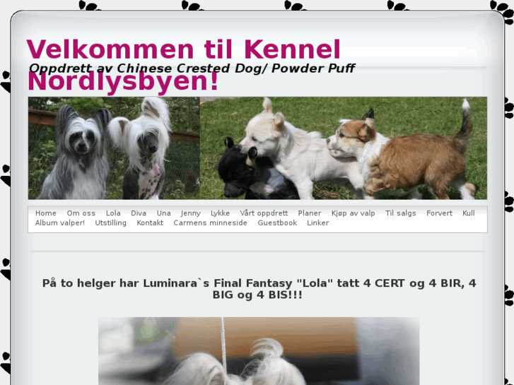 www.kennelnordlysbyen.com