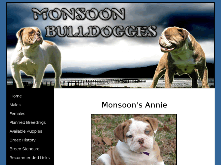 www.monsoonbulldogs.com