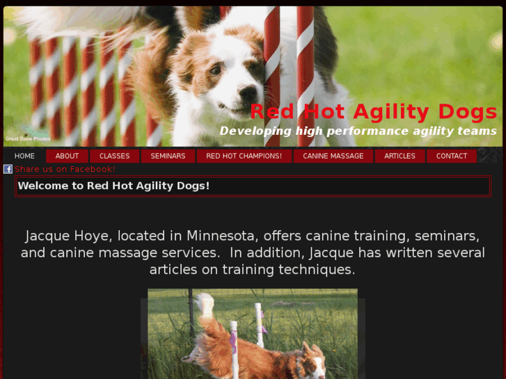 www.redhotagilitydogs.com