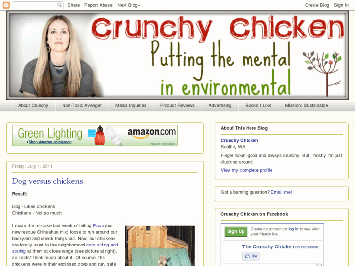 www.thecrunchychicken.com