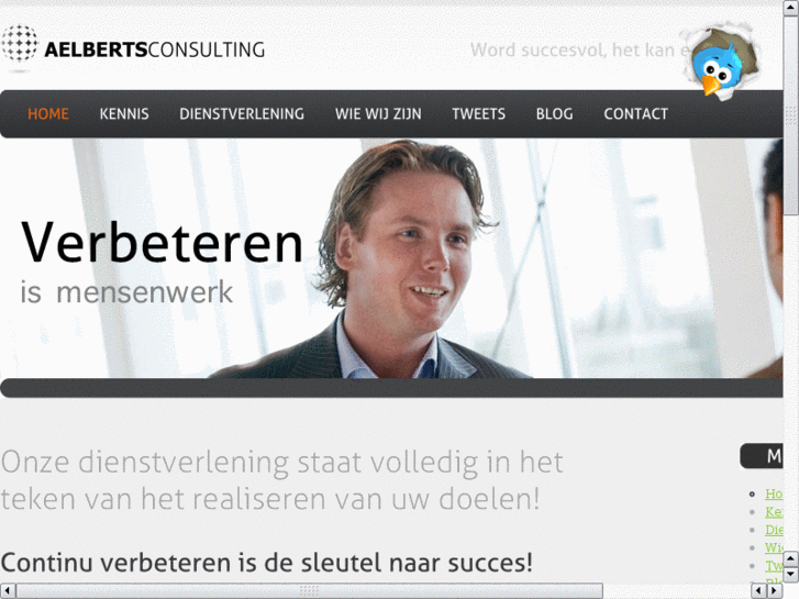 www.aelbertsconsulting.com