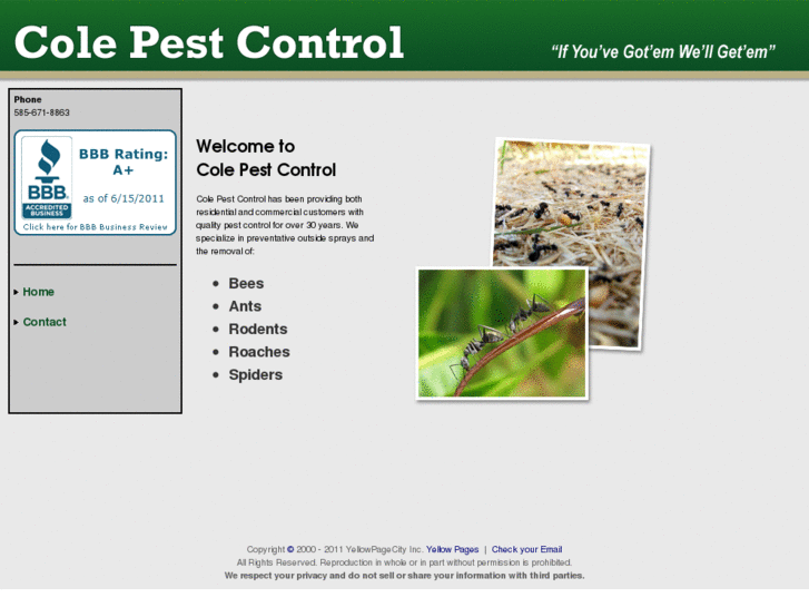 www.bobcolepestcontrol.com