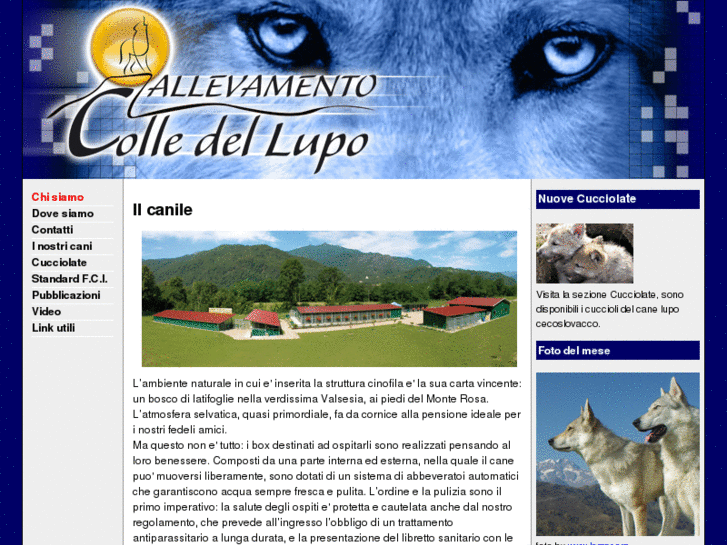 www.colledellupo.it