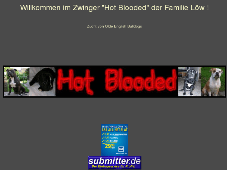 www.hot-blooded.de