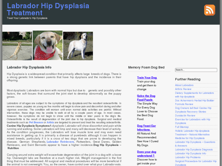 www.labradorhipdysplasiatreatment.com