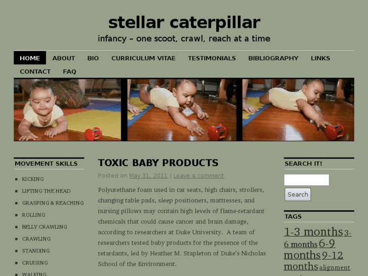 www.stellarcaterpillar.com