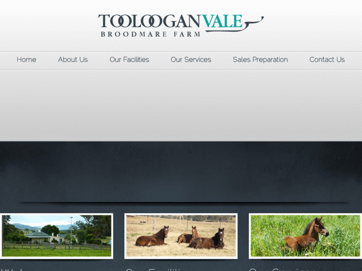 www.toolooganvale.com