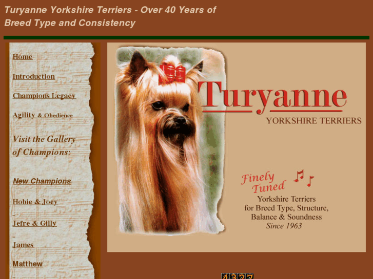 www.turyanne.com