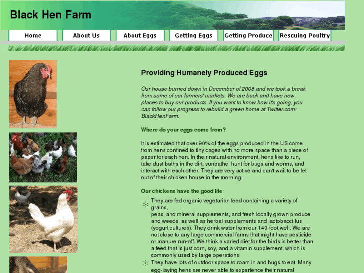 www.blackhenfarm.com