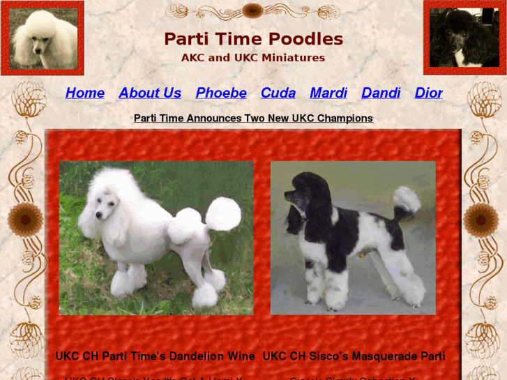 www.partitimepoodles.com