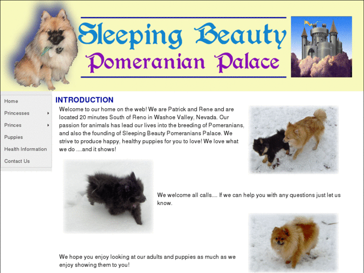 www.sleepingbeautypoms.com