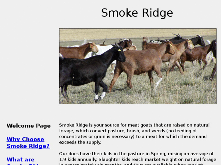 www.smokeridge.net