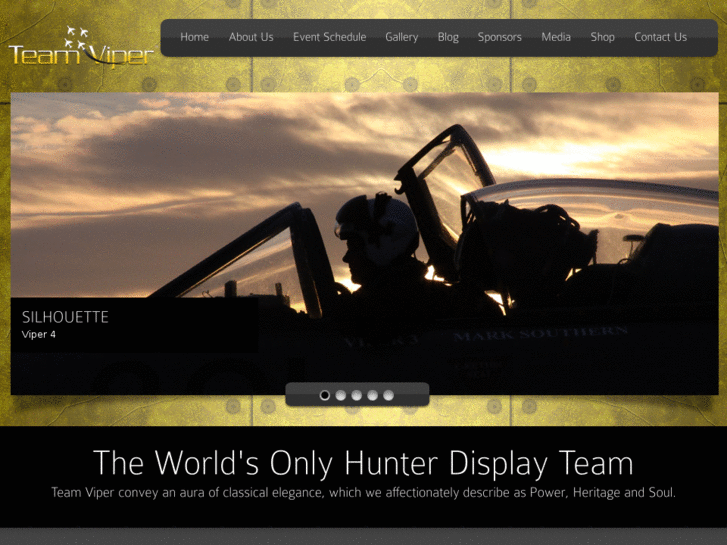 www.teamviperdisplay.com