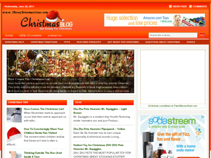 www.thesechristmasideas.com