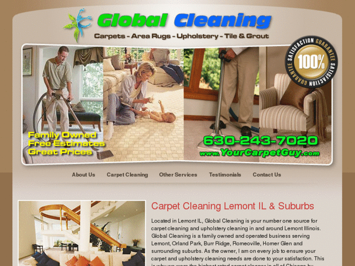 www.yourcarpetguy.com