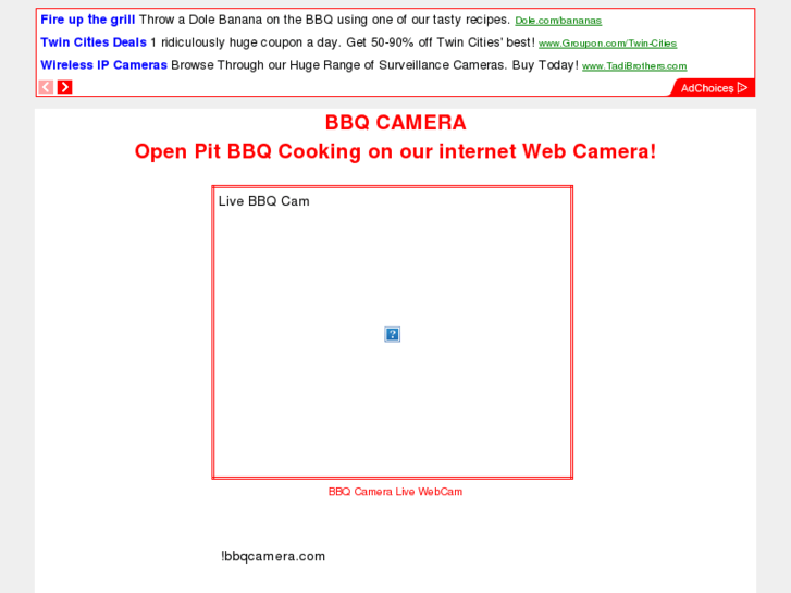 www.bbqcamera.com