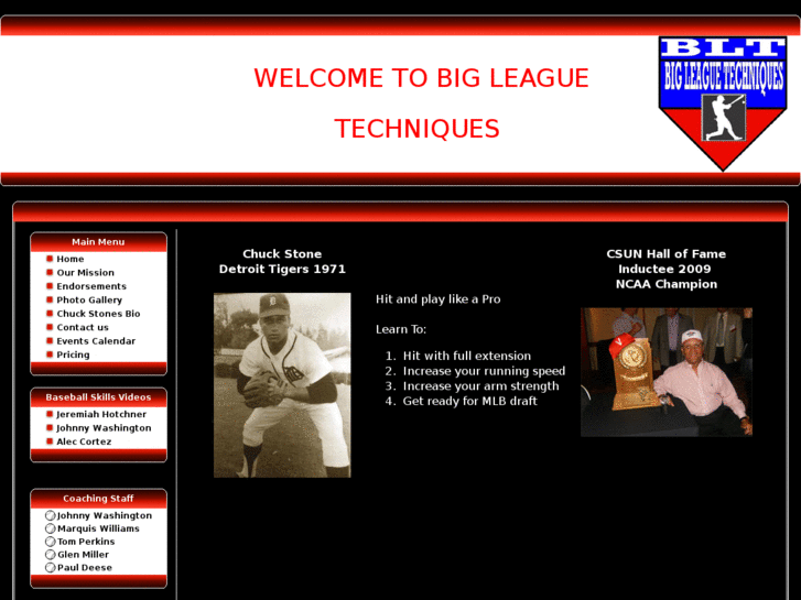 www.bigleaguetechniques.com