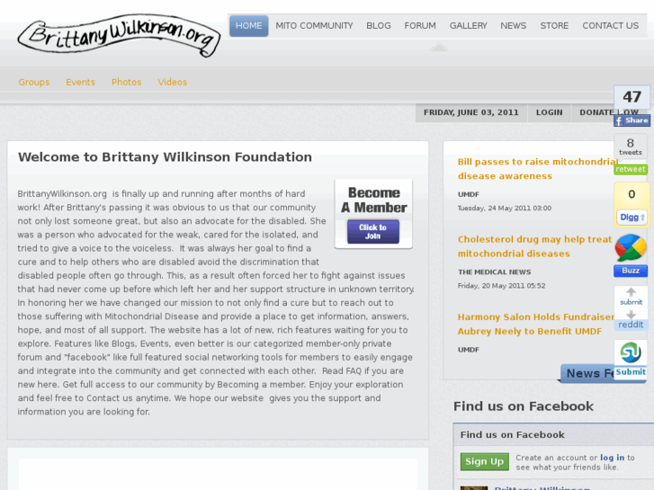 www.brittanywilkinson.org