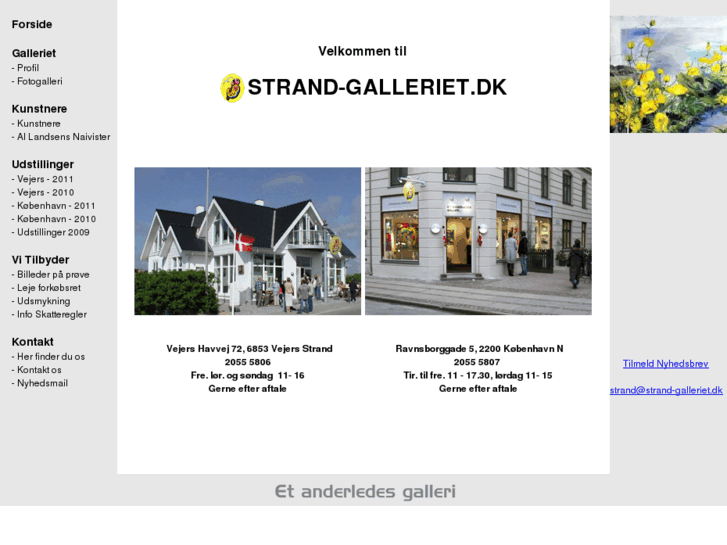 www.strand-galleriet.dk