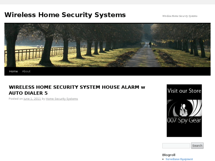 www.wirelesshomesecuritysystems.net