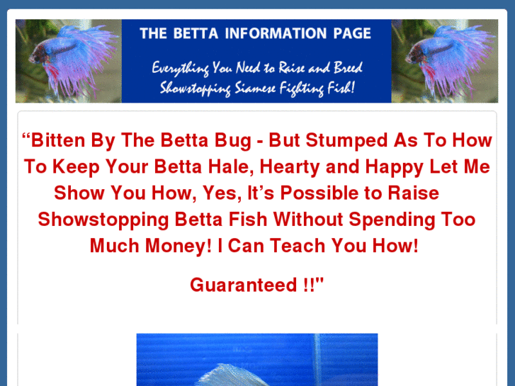 www.bettainformation.com