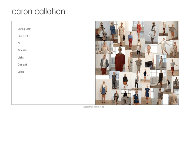 www.caroncallahan.com