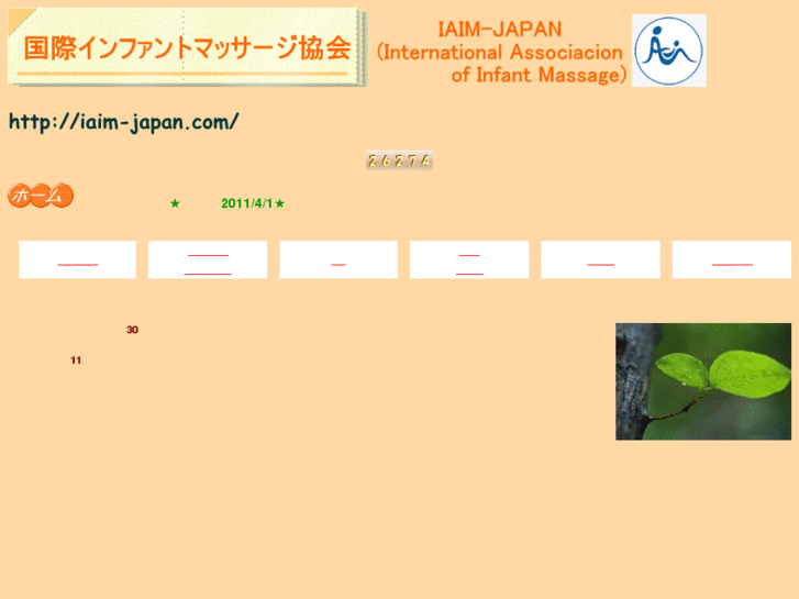 www.iaim-japan.com