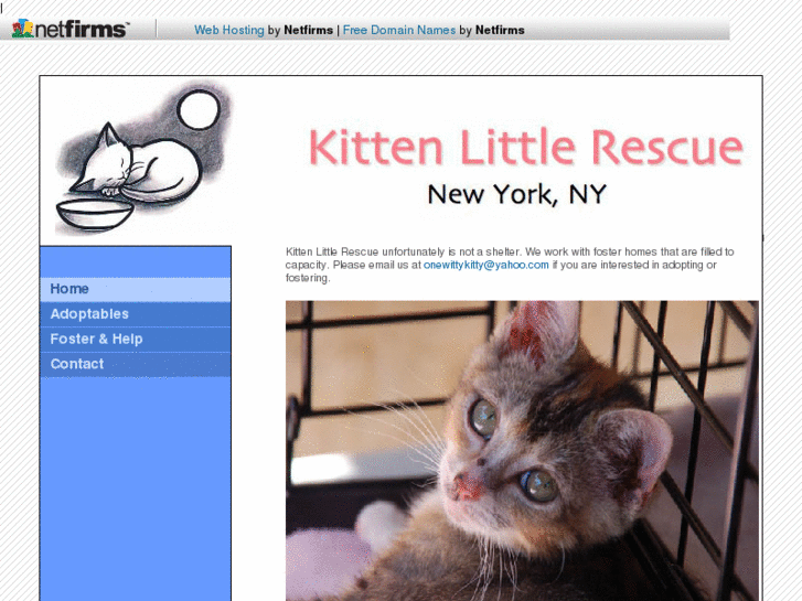 www.kittenlittlerescue.com