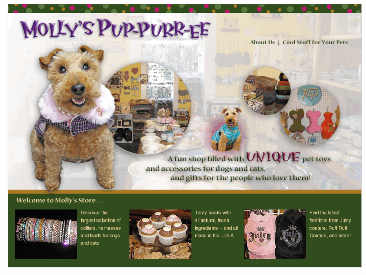 www.mollyspup.com