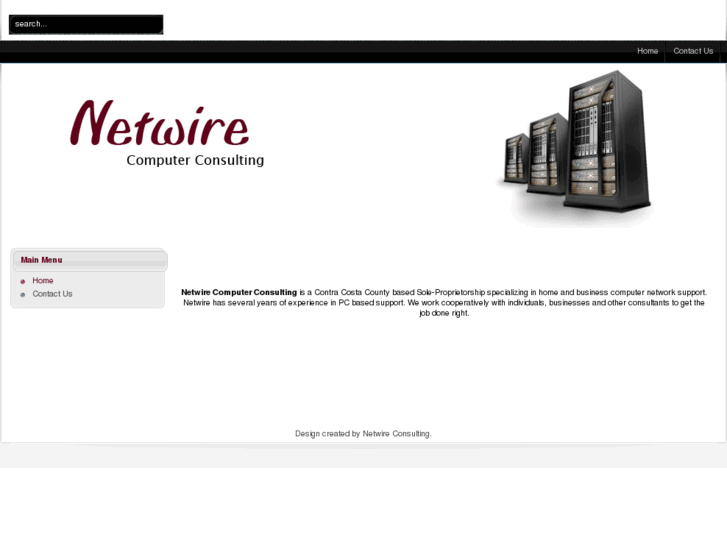 www.netwireconsulting.com