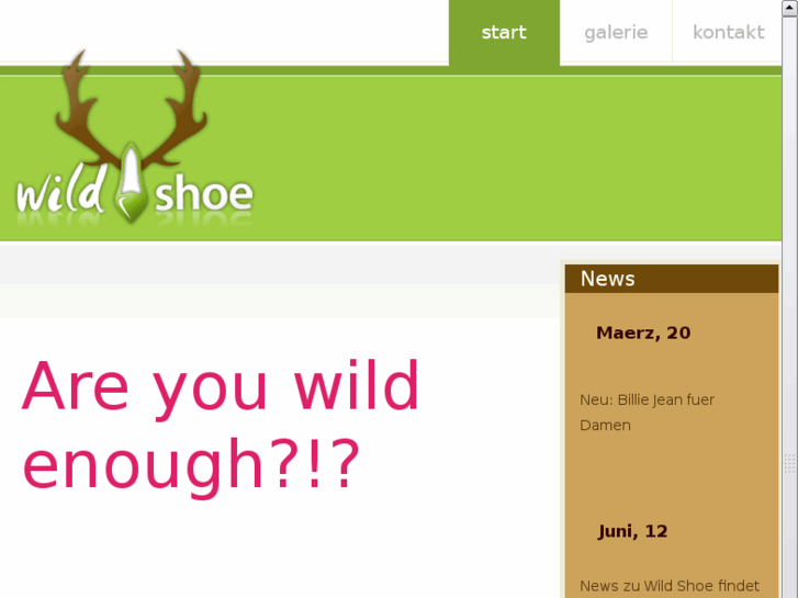 www.wild-shoe.com