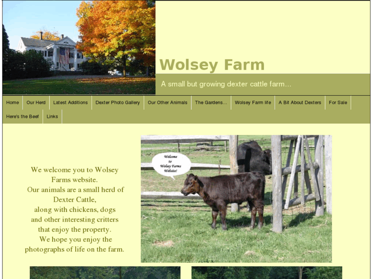 www.wolseyfarm.com