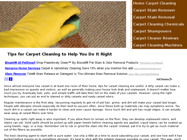 www.cleaningyourcarpets.com