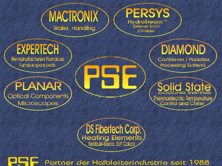 www.psegmbh.biz