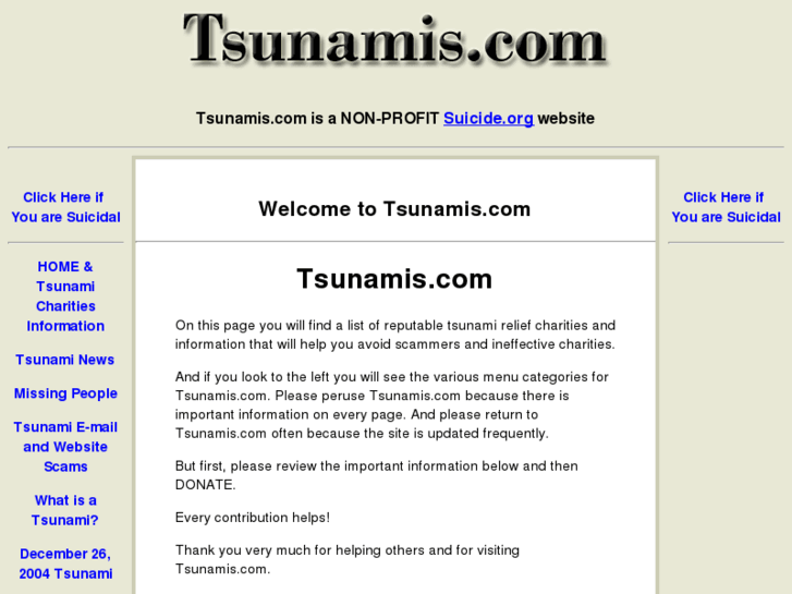 www.tsunamis.com