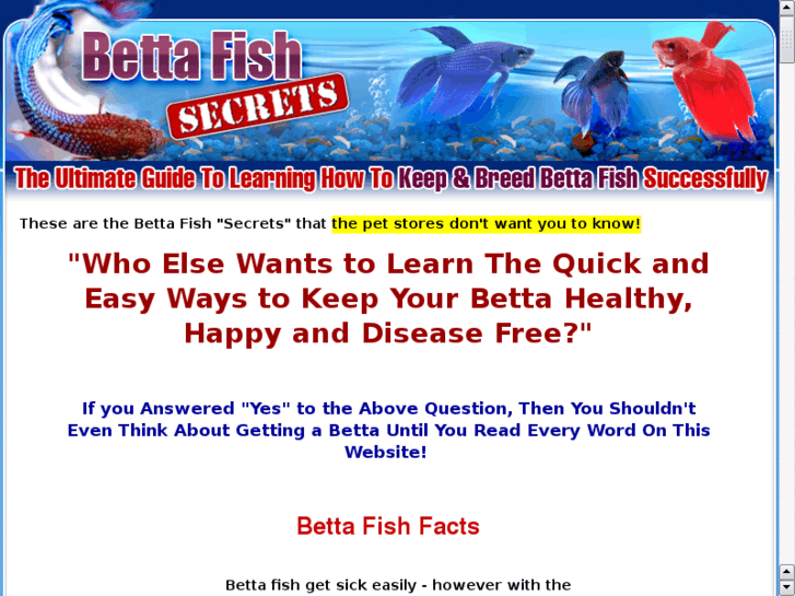 www.blackbetta.com