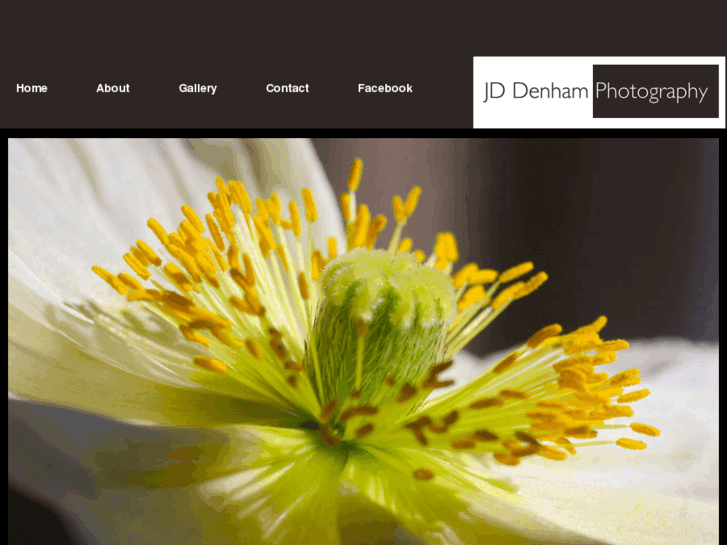 www.jddenhamphotography.com