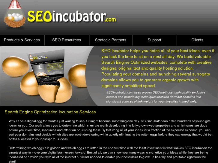 www.seoincubator.com