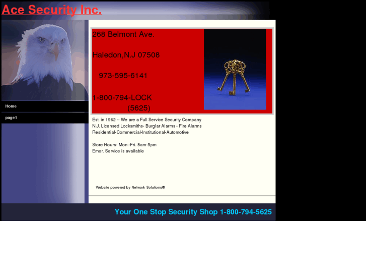 www.acesecurity.net