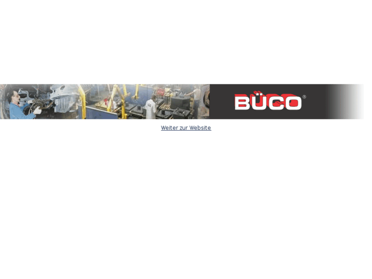 www.bueco-profichemie.de