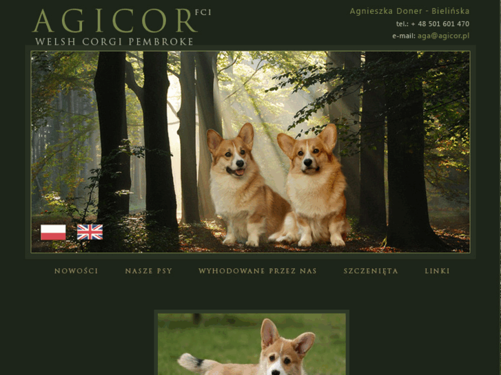 www.corgi.waw.pl