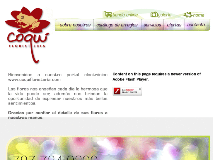 www.floristeriacoqui.com